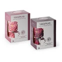 Tisanière Fleurs Roses Claires - Compagnie Anglaise des Thés