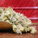 Infusion GRECQUE Bio - Compagnie Anglaise des Thés