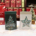 Boîte verte Noël- Compagnie Anglaise des Thés