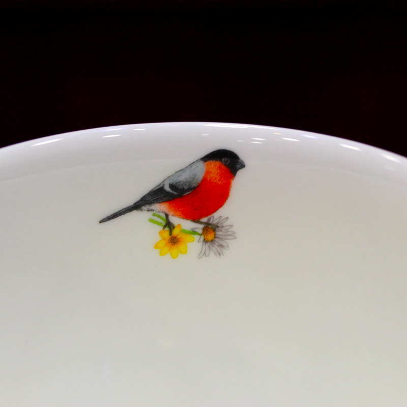 Mug Dunoon Vintage Oiseaux - Compagnie Anglaise des Thés