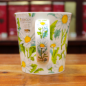 Mug Dunoon Pâquerettes - Compagnie Anglaise des Thés