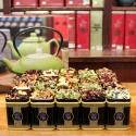 Tea Box Assortiment Mixte x16 - Idée Cadeau ! - Cie Anglaise des Thés