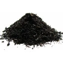 Tasse Thé Fumé de Chine - Thé noir LAPSANG SOUCHONG - Compagnie Anglaise des Thés