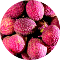 Litchi