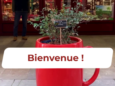 Bienvenue à la Compagnie Anglaise des Thés !
