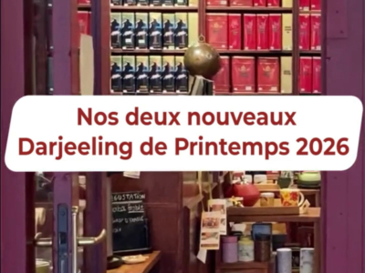 Nos deux nouveaux Darjeeling de Printemps 2026